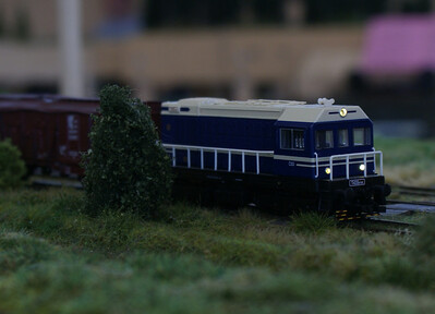 DSC00846.JPG