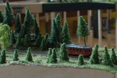 DSC01704.jpg