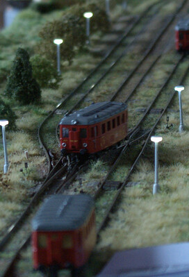 DSC01706.jpg