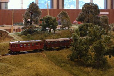 DSC01754.jpg