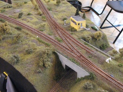 IMG_0429.jpg