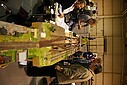 DSC06121.JPG