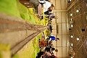 DSC06155.JPG