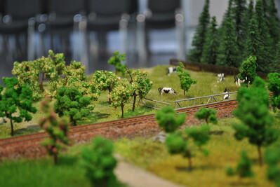 DSC_0566.JPG