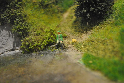 DSC_0780.JPG