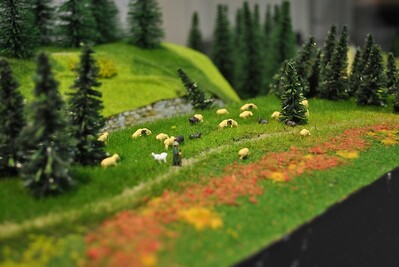 Image00141.jpg
