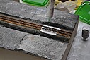 DSC_0262.jpg