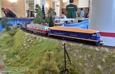 Słowa kluczowe: East West Railways 232